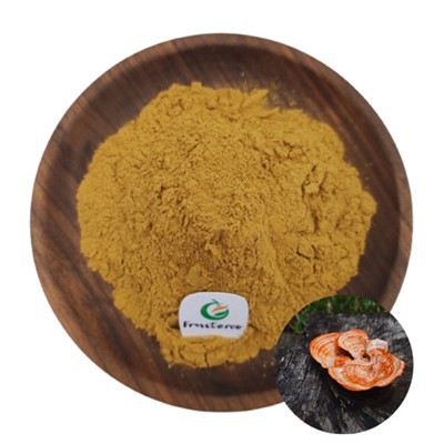 Antrodia kamfhorata extract poeder