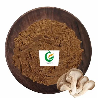 Organisch Oyster Mushroom -extract