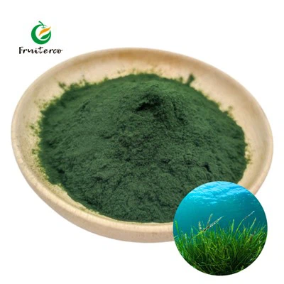 Organisch spirulina -poeder