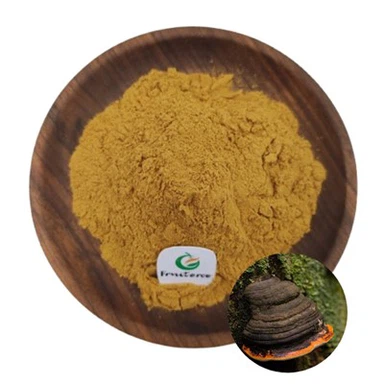 Phellinus linteus extract